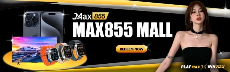 MAX855