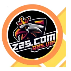 Z25.Com