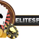 elitespin360