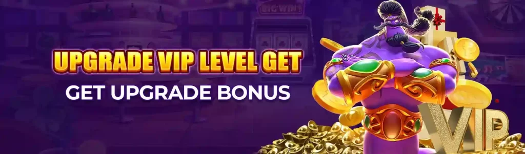 upgrade vip level bonus